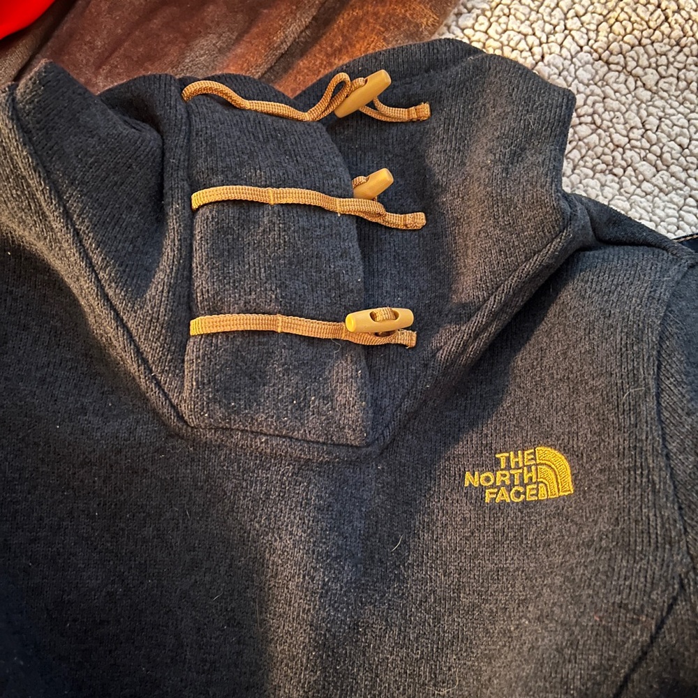 The North Face hoodie blue Sweater